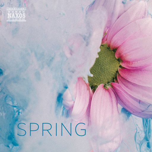 黄网短视频能看到长鸡
